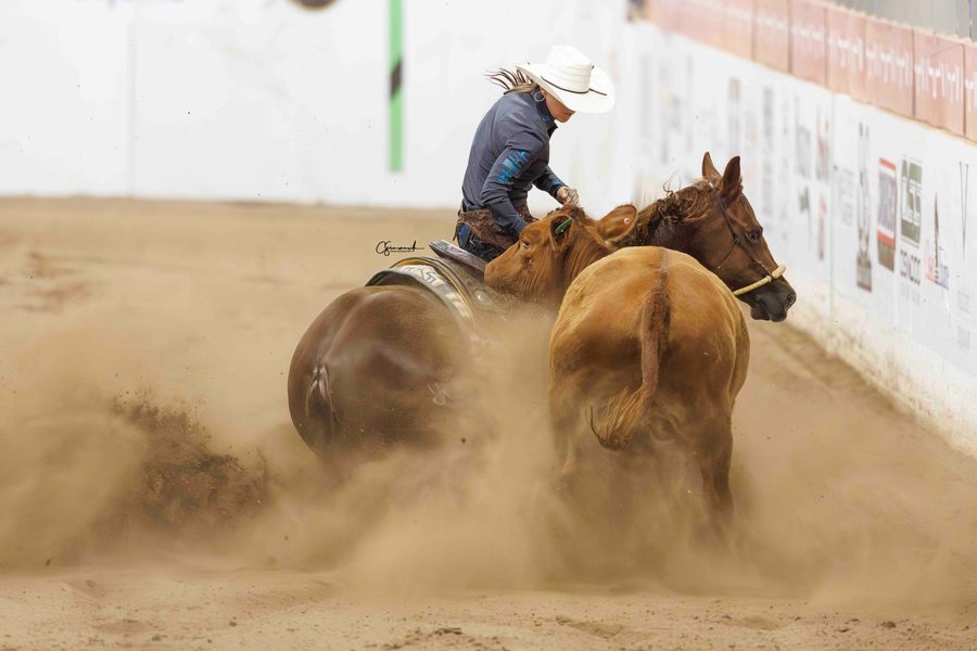 Erin Taormino on Stevie Rey Wright